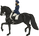 cavallo reale - Home